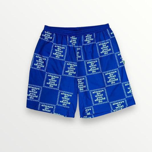 ADWYSD Jersey Shorts In Blue